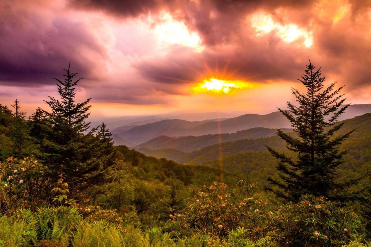 Heavenly Bearadise Cabin In Cashiers, Nc! Exterior photo